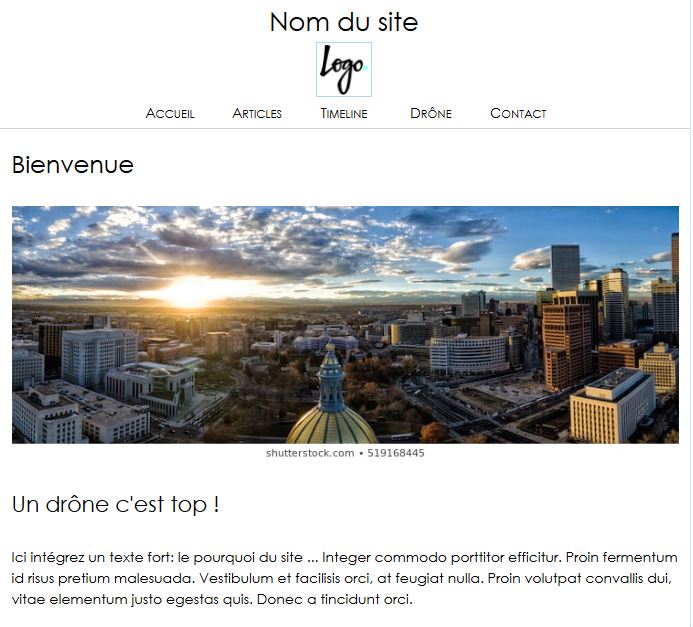 Image of pi_drone_website